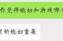 游戏重要还是老婆重要神回复