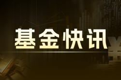 安信企业价值优选混合C：净值2.0718元下跌2.20%，近1个月收益率13.53%