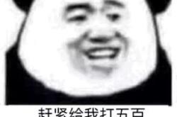 抖音很火的要钱表情包联动图