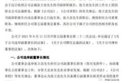 高管辞职潮企业变革与个人职业发展的双重奏